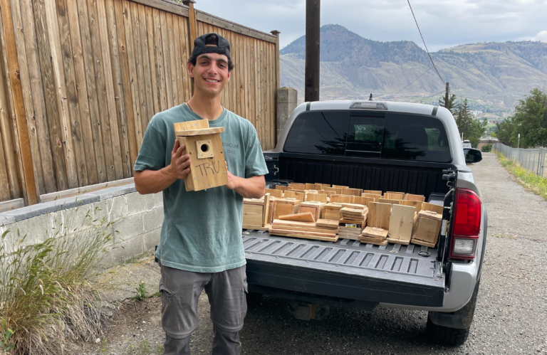 Engaging in Knowledge Mobilization