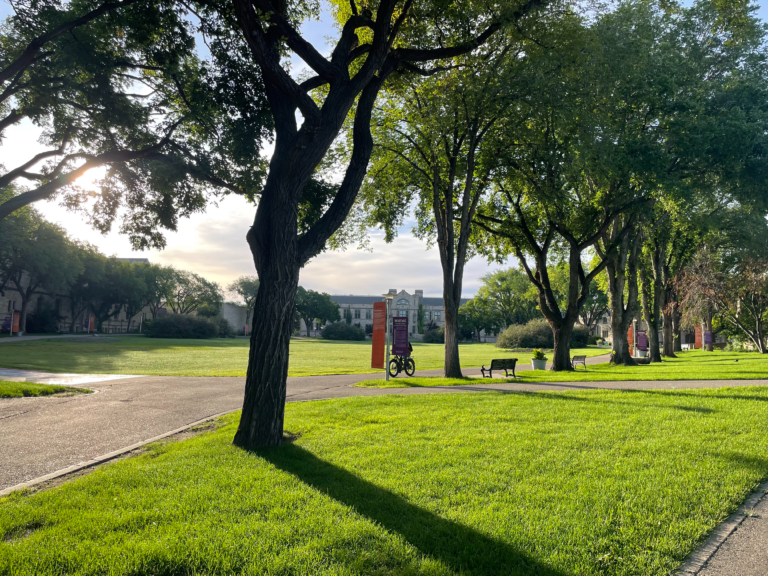 Analyzing and Drawing Conclusions